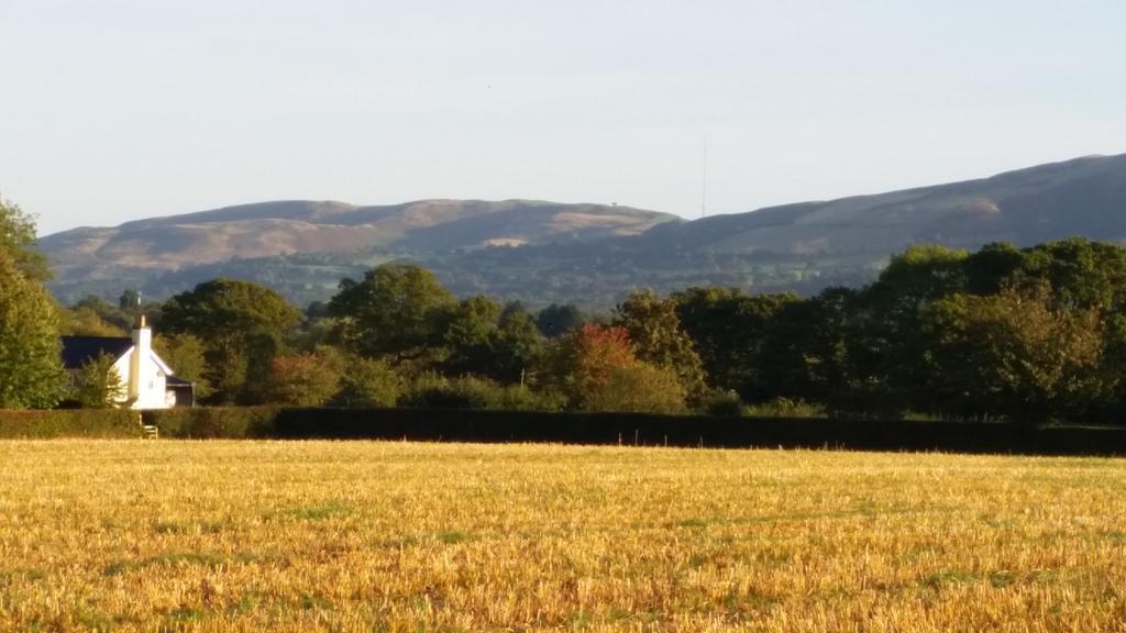 Ty Derw Country House B&B Ruthin Eksteriør billede