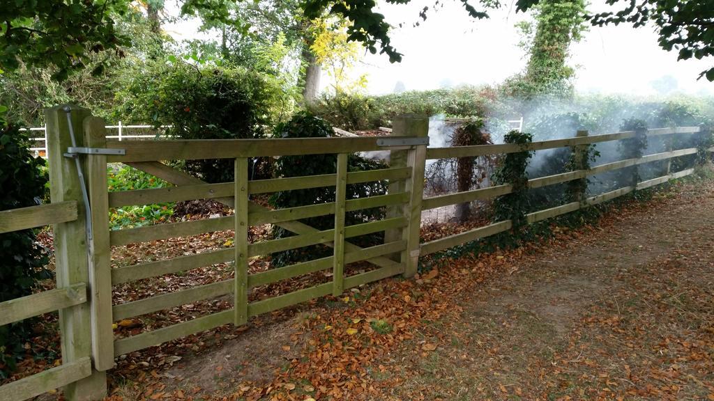 Ty Derw Country House B&B Ruthin Eksteriør billede