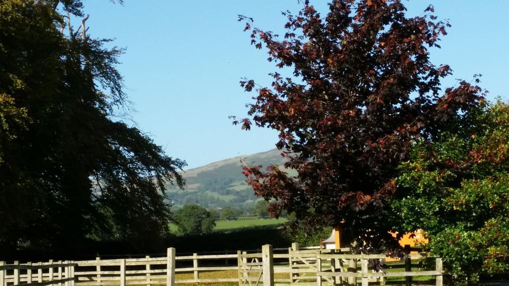 Ty Derw Country House B&B Ruthin Eksteriør billede