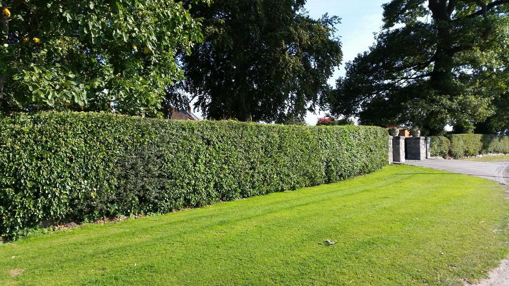 Ty Derw Country House B&B Ruthin Eksteriør billede