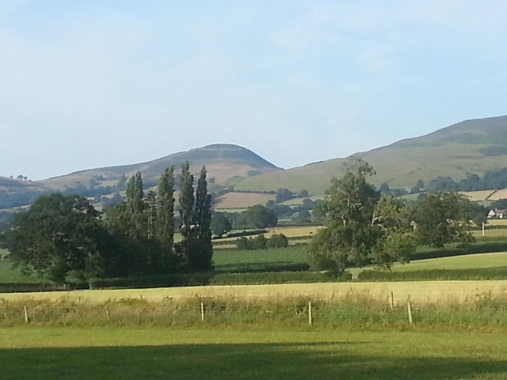 Ty Derw Country House B&B Ruthin Værelse billede
