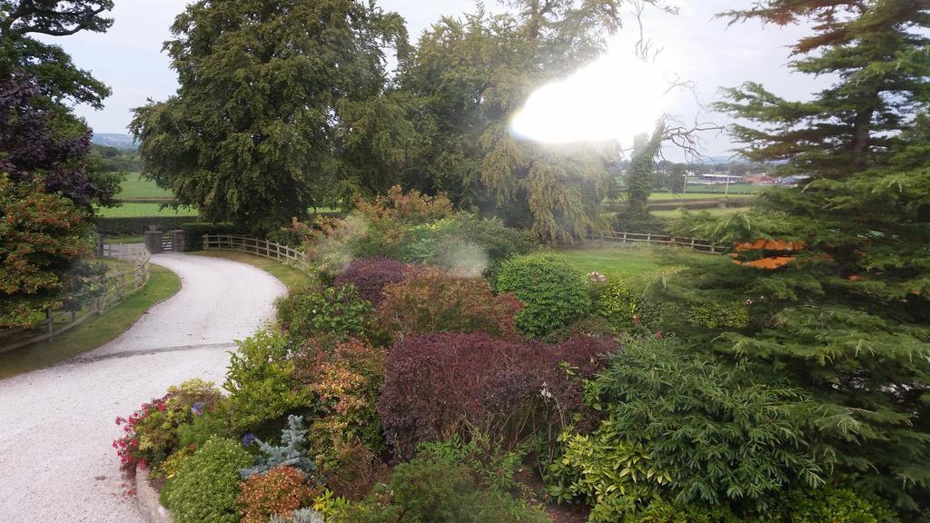 Ty Derw Country House B&B Ruthin Værelse billede